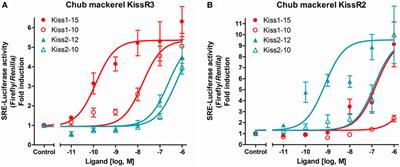 The Roles of <mark class="highlighted">Kisspeptin</mark> System in the Reproductive Physiology of Fish With Special Reference to Chub Mackerel Studies as Main Axis